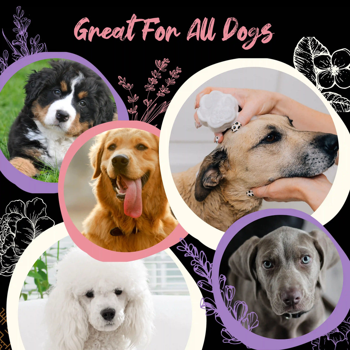 Pet Shampoo Bar – Peony & Vanilla for Dogs | VIORI