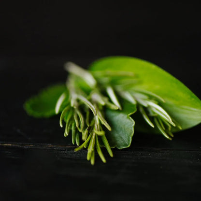 Rosemary Biotin Conditioner Bar – Thinning Hair | VIORI