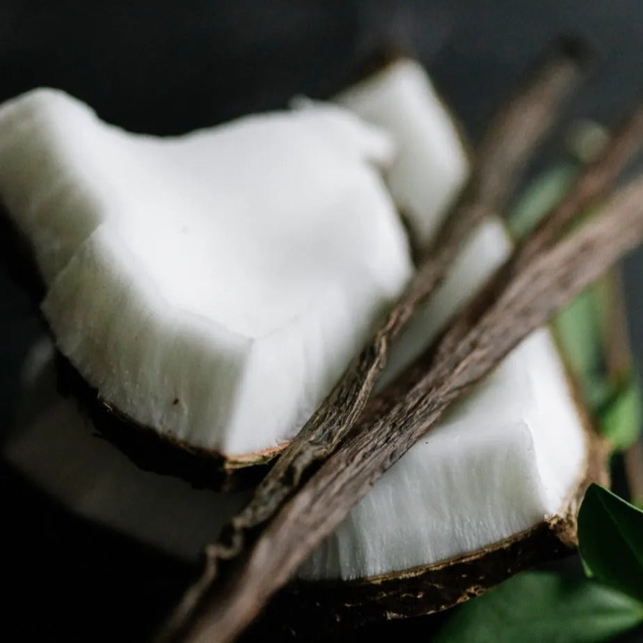 Vanilla Coconut Natural Dry Shampoo | VIORI