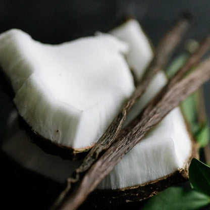Vanilla Coconut Natural Dry Shampoo | VIORI