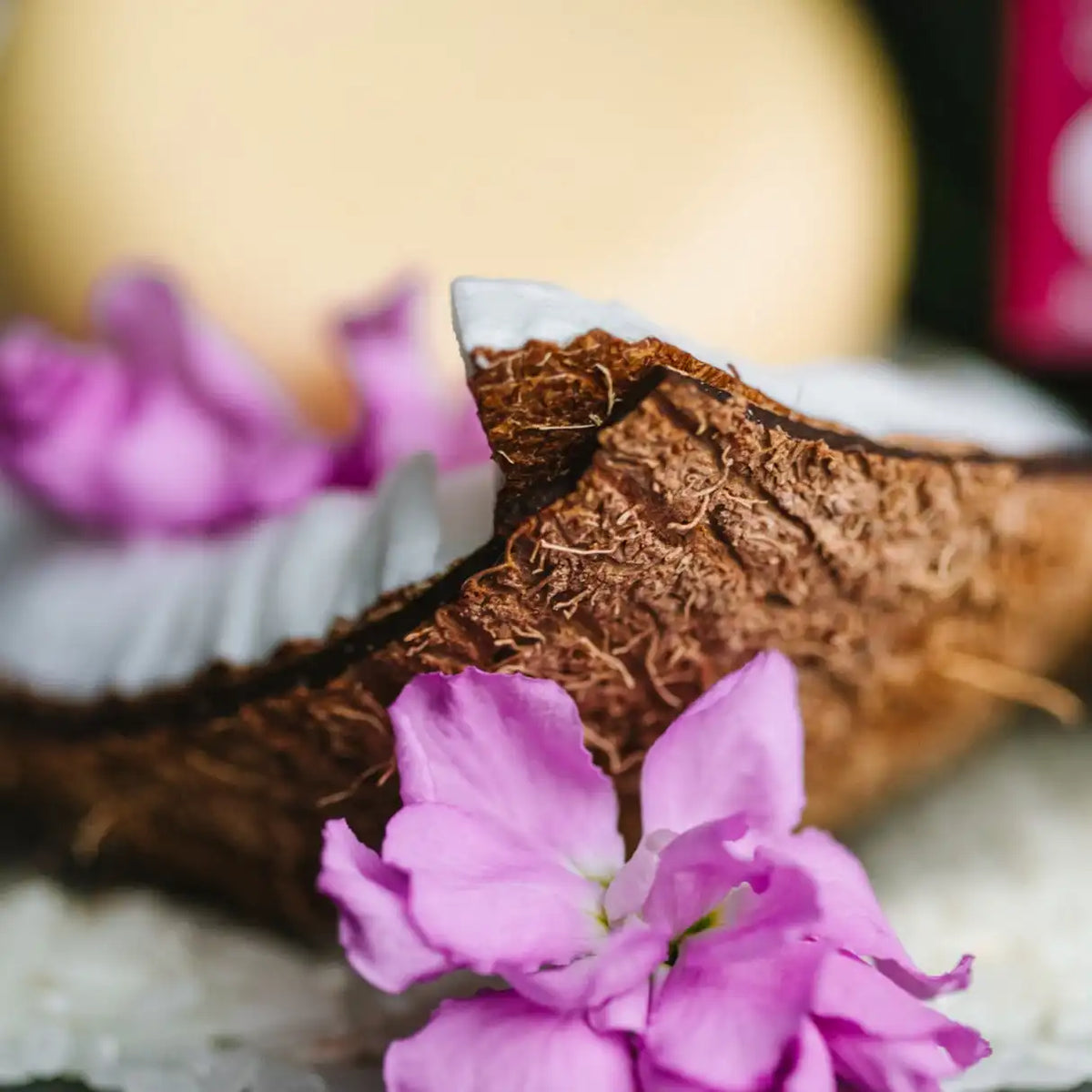 Coconut Body Butter Bar