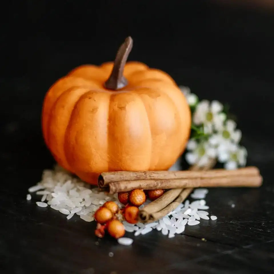 LIMITED Pumpkin Spice Conditioner Bar
