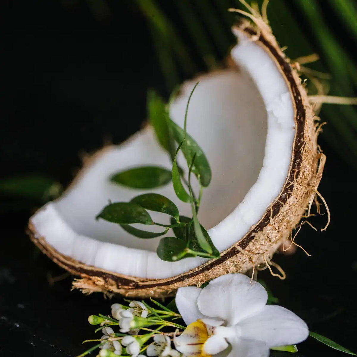 Coconut Oil Repair Conditioner Bar – Damaged Hair | VIORI
