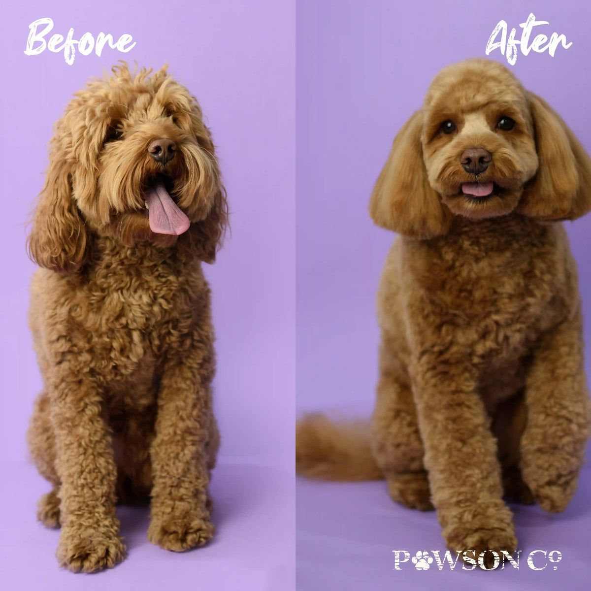 Pet Shampoo Bar – Peony & Vanilla for Dogs | VIORI