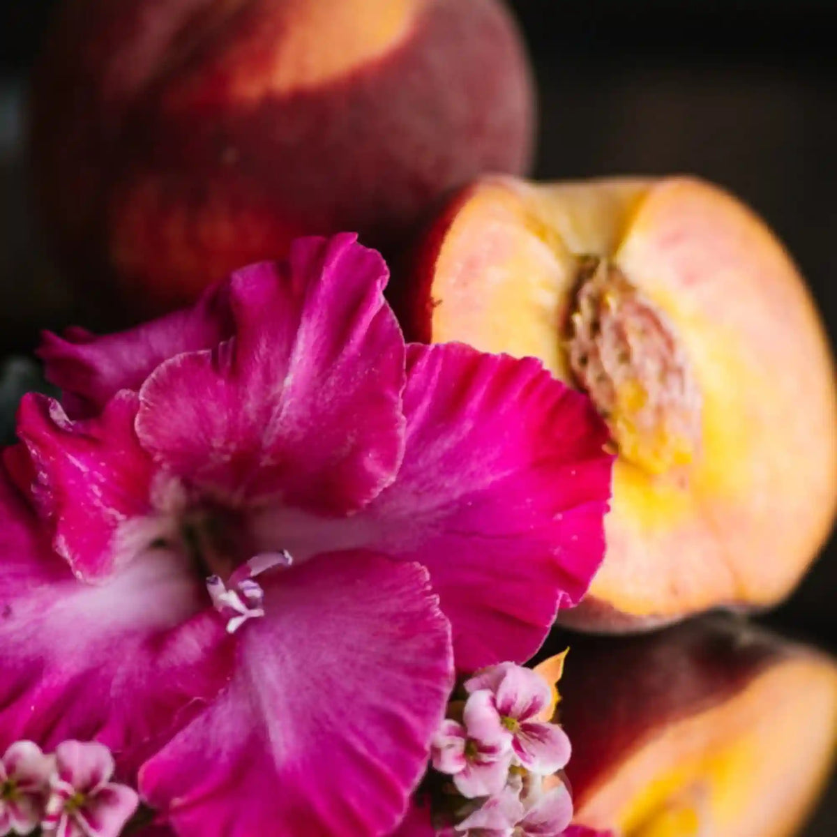 Peach Hibiscus Bath Tea | VIORI